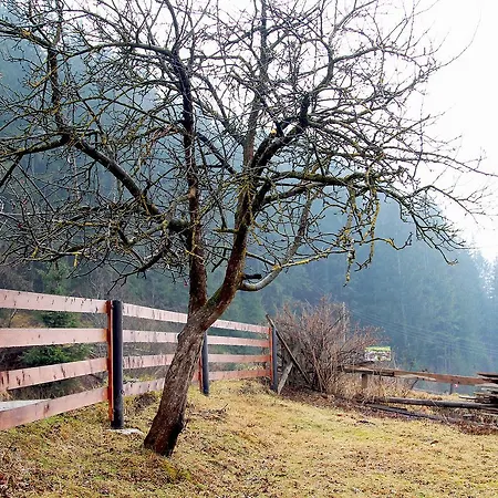 Kazkove Dzherelo アパート