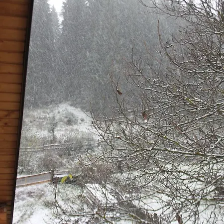 Kazkove Dzherelo דירה ורחובינה