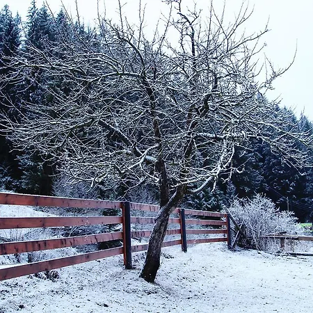 Kazkove Dzherelo דירה *